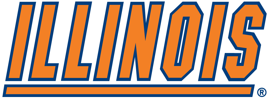 Illinois Fighting Illini 1989-2013 Wordmark Logo diy fabric transfer